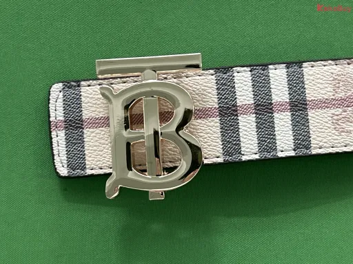 上TB杏花金扣